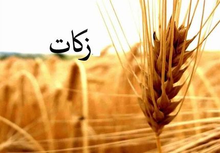 جمع‌آوری زکات، ۳۴ درصد رشد کرد