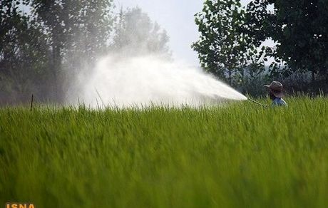 تامین ۴۵۰ هزار تن انواع کود یارانه‌ای برای کشت پائیزه