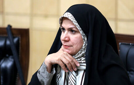ذوالقدر: هنرمندان دردمند را طرد نمی‌کنیم