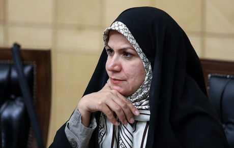 ذوالقدر: هنرمندان دردمند را طرد نمی‌کنیم