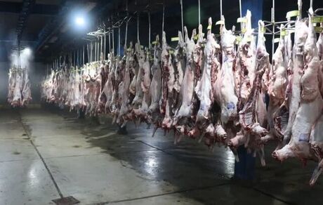 امحاء ۳۵ راس لاشه گوسفند و بز بدلیل آلودگی بالای میکروبی در پارس آباد