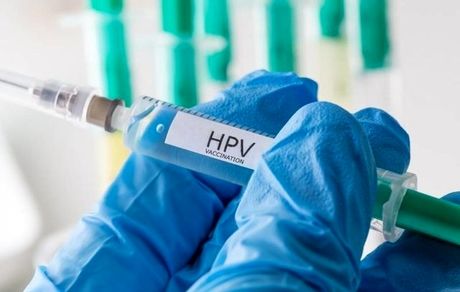 ارتباط بین HPV و سرطان دهانه رحم