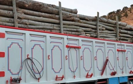 کامیونی حامل ۶ تن چوب قاچاق در سردشت توقیف شد