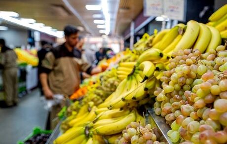 ساعت کاری میادین میوه و تره‌بار در نیمه دوم سال تغییر می‌کند