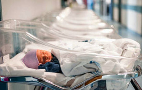 تولد ۳۴ هزار نوزاد در جنگ اخیر