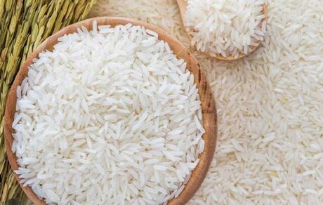 قیمت برنج ایرانی و خارجی در بازار چند؟