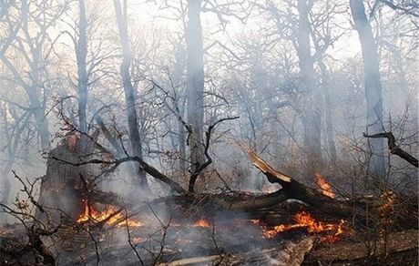 پایان آتش سوزی جنگل های گیلان