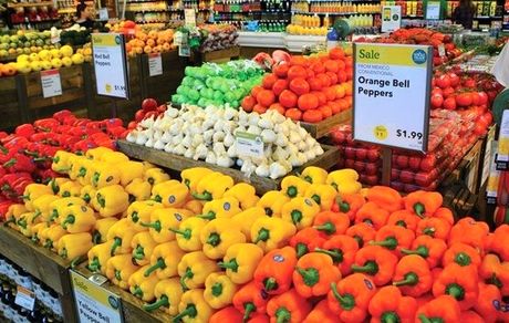 کارگروه مشترک کشاورزی بین ایران و روسیه تشکیل می شود /صادرات ۲۵۰ میلیون دلاری محصولات باغی به روسیه