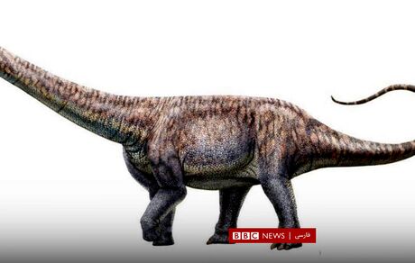 کشف گونه جدید دایناسور