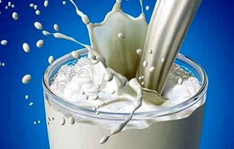 قیمت جدید شیر خام اعلام شد