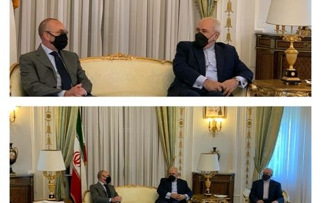 دیدار ظریف با رئیس کمیسیون سیاست خارجی مجلس سنای ایتالیا / تاکید بر همکاری های اقتصادی دو کشور