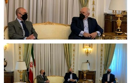 دیدار ظریف با رئیس کمیسیون سیاست خارجی مجلس سنای ایتالیا / تاکید بر همکاری های اقتصادی دو کشور