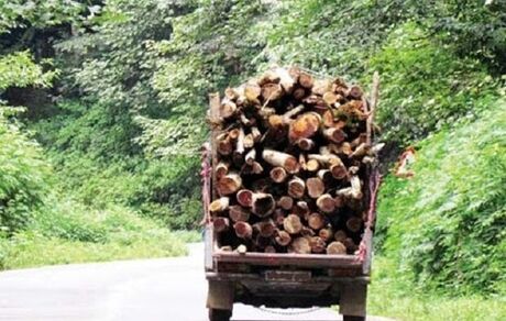 کشف ۳ تن چوب قاچاق در کردستان