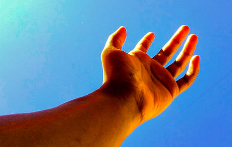 آیا انسان قادر به بازسازی عضو از دست رفته است؟!