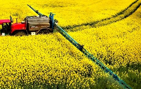 رشد ۲۸ درصدی صادرات محصولات کشاورزی