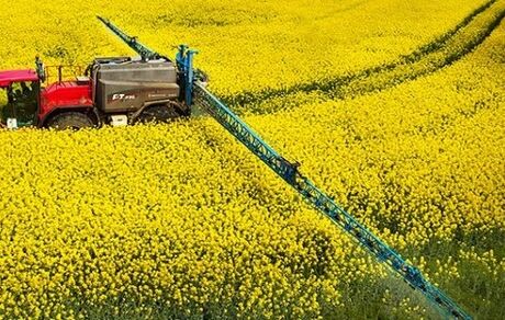 رشد ۲۸ درصدی صادرات محصولات کشاورزی