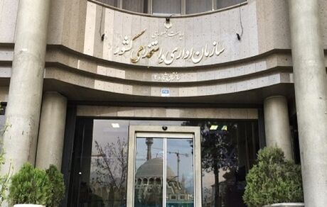 ابلاغ بخشنامه جدید الزام به دورکاری و مرخصی اضطراری کارکنان دولت