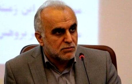 وزیر اقتصاد کارت زرد گرفت