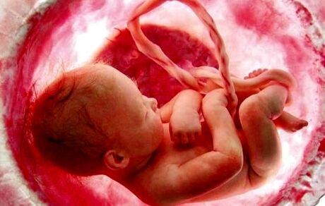 وزارت بهداشت: غربالگری ممنوع نیست و استانداردسازی شده است
