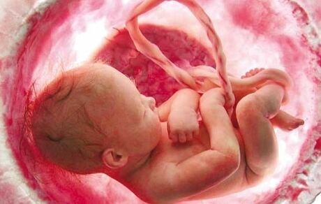 وزارت بهداشت: غربالگری ممنوع نیست و استانداردسازی شده است