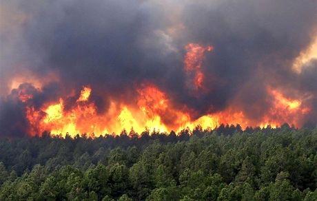 آتش‌سوزی در حاشیه جنگل‌های فندقلو مهار شد