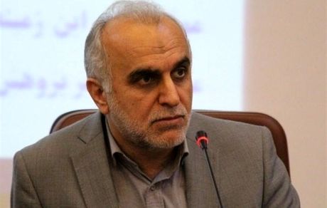 دژپسند: کالاهایی که در گمرکات هستند و اظهارنامه گمرکی ندارند، «رسوب» تلقی نمی‌شوند