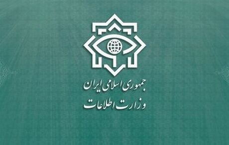 یک هسته تروریستی از مزدوران دشمن آمریکایی صهیونی شناسایی و دستگیر شدند