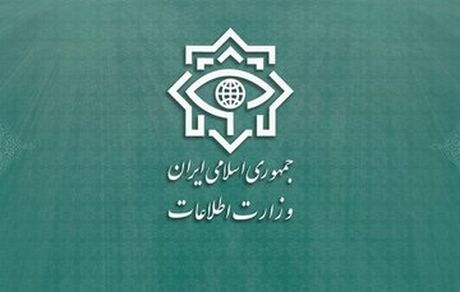 یک هسته تروریستی از مزدوران دشمن آمریکایی صهیونی شناسایی و دستگیر شدند