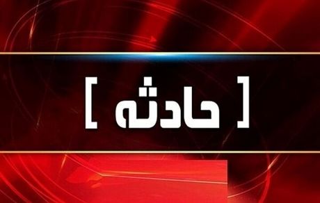 سانحه هوایی در استان فارس بدلیل برخورد پرنده