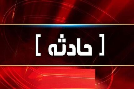 سانحه هوایی در استان فارس بدلیل برخورد پرنده