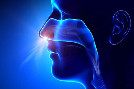 شیوع بیماری مننژیت در نیجریه، جان ده‌ها نفر را گرفت