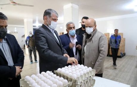 توسعه کشت گیاهان دارویی، گلخانه ها و دامپروری اولویت‌های وزارت جهاد کشاورزی در استان یزد