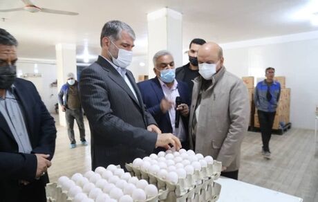 توسعه کشت گیاهان دارویی، گلخانه ها و دامپروری اولویت‌های وزارت جهاد کشاورزی در استان یزد
