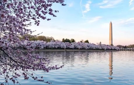 نوروز در واشنگتن آمریکا به رسمیت شناخته شد