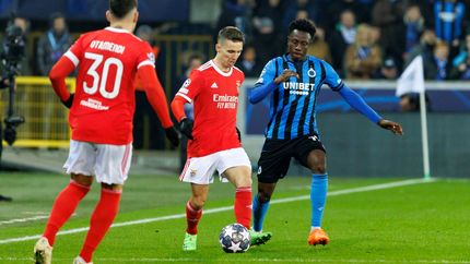 لیگ قهرمانان اروپا: بنفیکا روی نوار درخشش / بروخه در خانه ناکام ماند