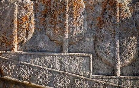 گلسنگ‌ها در حال تخریب تخت جمشید
