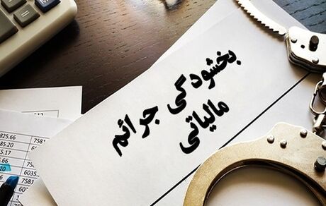 پایان مهرماه آخرین فرصت استفاده از بخشودگی کامل از جرایم مالیاتی