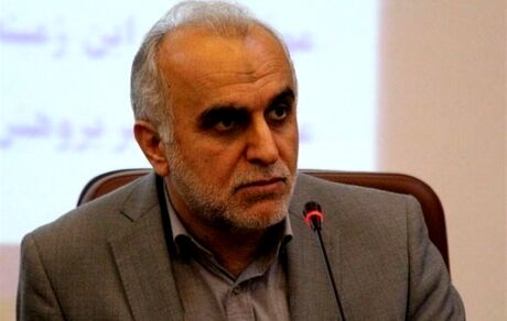 دژپسند: موافق افزایش مالیات هستم اما به شرطی!