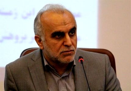 دژپسند: موافق افزایش مالیات هستم اما به شرطی!