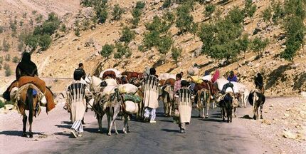 تولید ۲۵ درصد گوشت قرمزتوسط عشایر/ پرداخت بیش از هزار میلیارد تسهیلات به جامعه عشایری