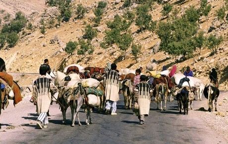 تولید ۲۵ درصد گوشت قرمزتوسط عشایر/ پرداخت بیش از هزار میلیارد تسهیلات به جامعه عشایری