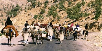 تولید ۲۵ درصد گوشت قرمزتوسط عشایر/ پرداخت بیش از هزار میلیارد تسهیلات به جامعه عشایری