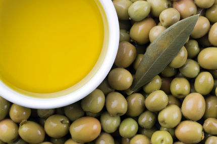 رئیس شورای ملی زیتون: حتی یک کیلو زیتون هم خرید حمایتی نشده/ صادراتمان مشروط است