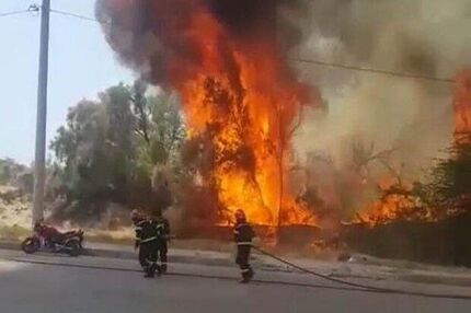 مهار شدن  آتش سوزی جنگل تل چیتی گناوه