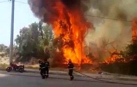 مهار شدن  آتش سوزی جنگل تل چیتی گناوه