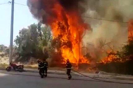 مهار شدن  آتش سوزی جنگل تل چیتی گناوه