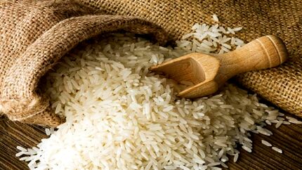 پیش‌بینی تولید ۲.۶ میلیون تن برنج در سال جاری