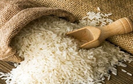 پیش‌بینی تولید ۲.۶ میلیون تن برنج در سال جاری