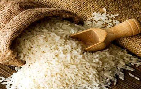 پیش‌بینی تولید ۲.۶ میلیون تن برنج در سال جاری