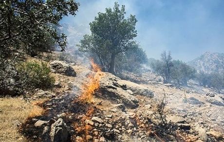 مهار آتش سوزی جنگل‌های سوادکوه